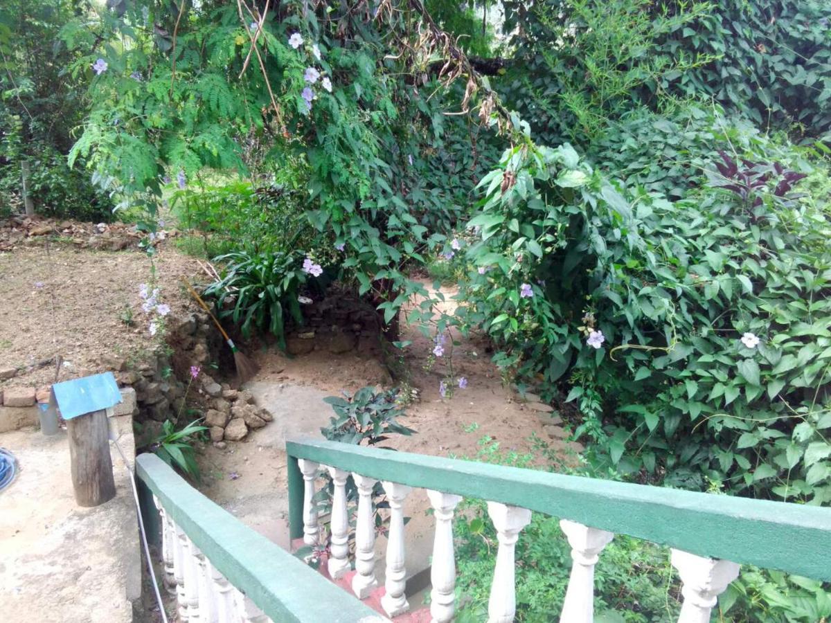 Green View เอลลา ภายนอก รูปภาพ