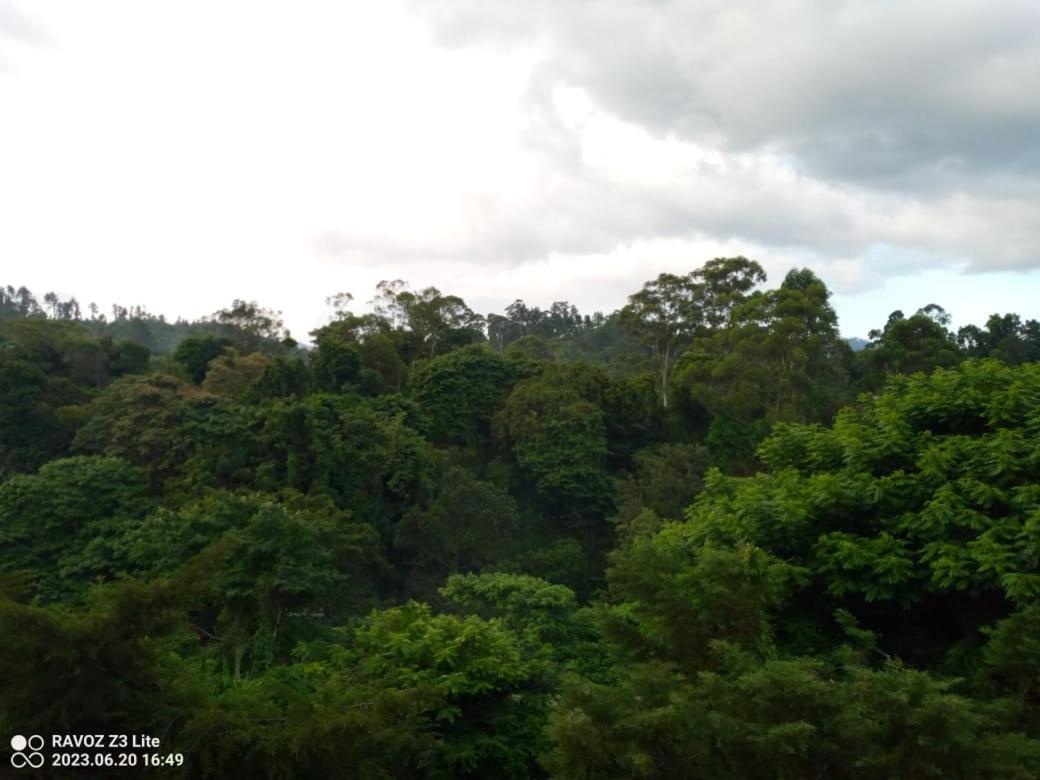Green View เอลลา ภายนอก รูปภาพ